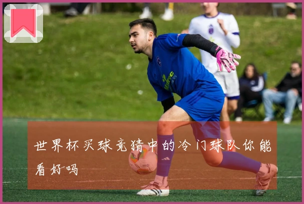 世界杯买球竞猜中的冷门球队你能看好吗