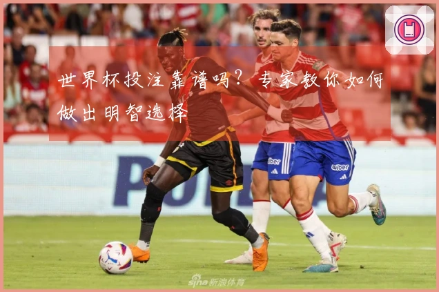 世界杯投注靠谱吗？专家教你如何做出明智选择