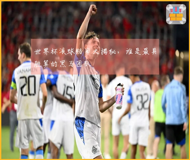 世界杯滚球赔率大揭秘，谁是最具胜算的黑马团队