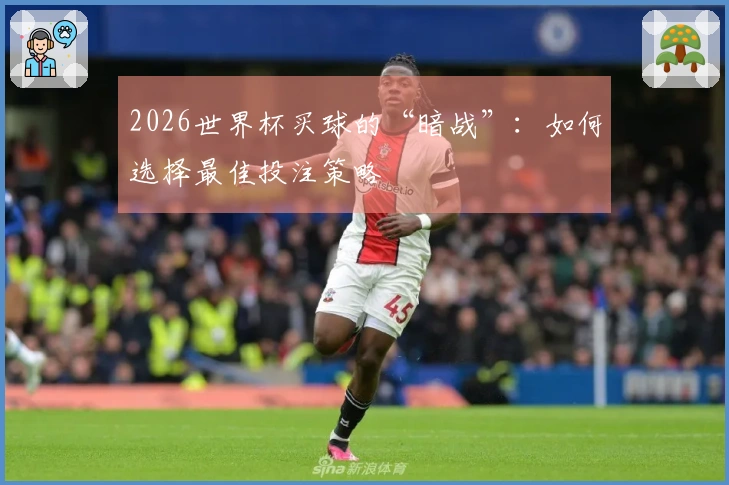 2026世界杯买球的“暗战”：如何选择最佳投注策略